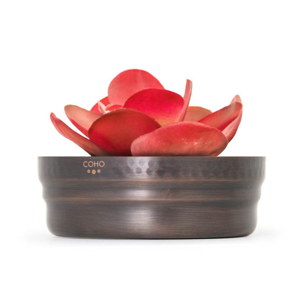 Coho Antique Décor Bakır Saksı