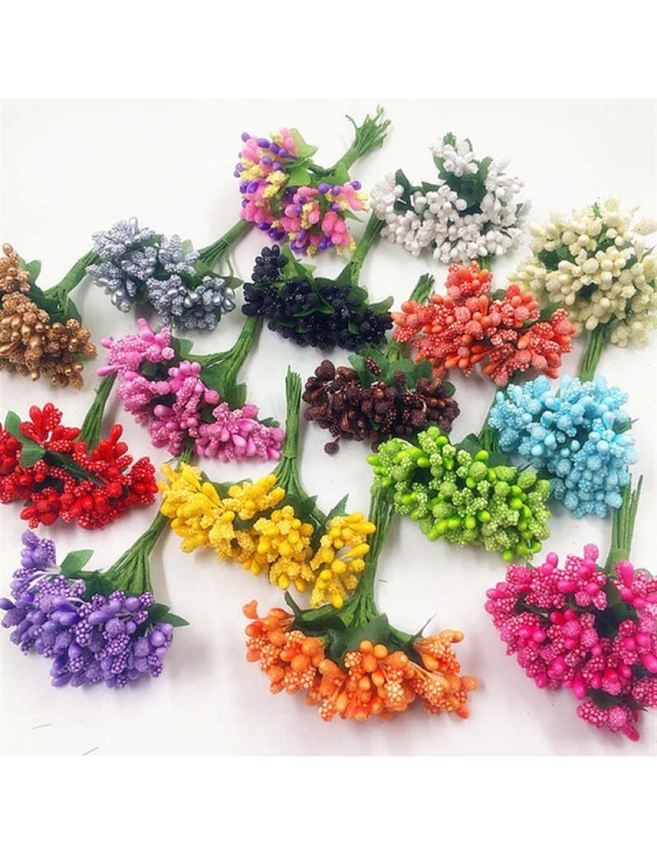 Cipso Çiçek Çeşitleri