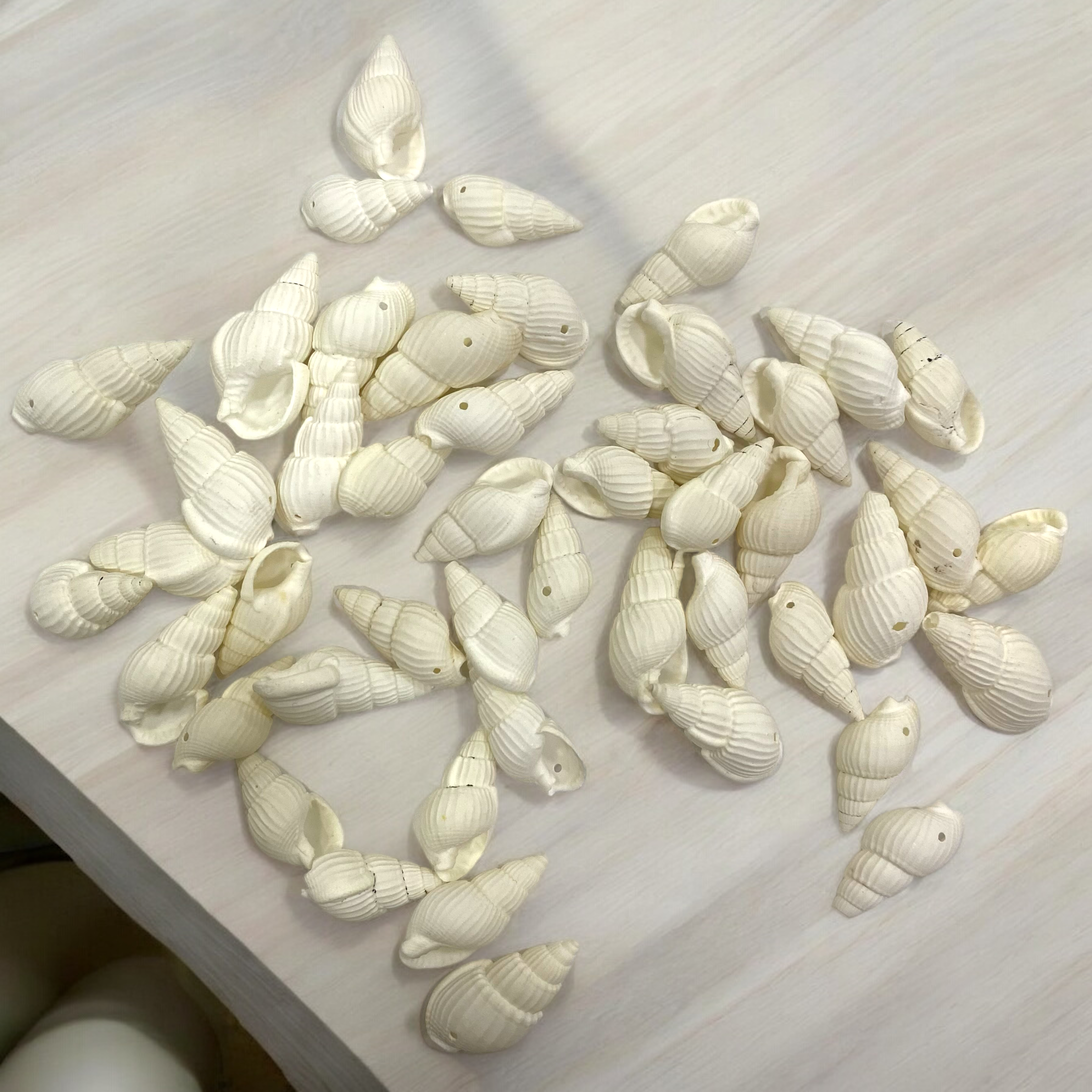 İstiridye Beyaz 10GR. Paket