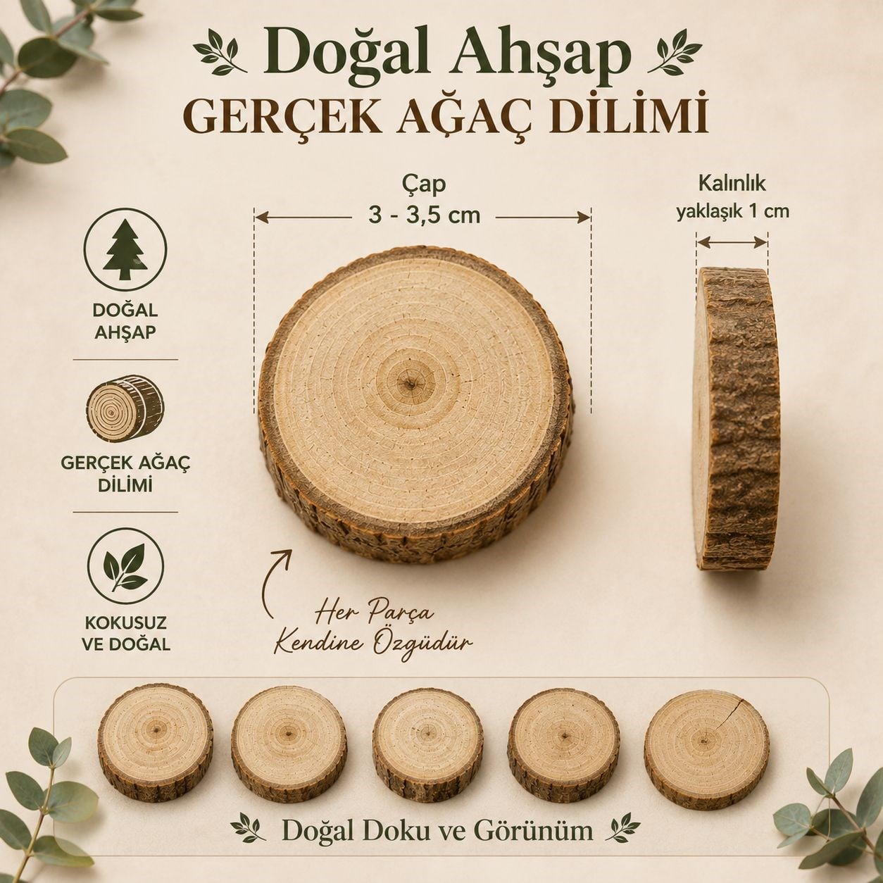 Yuvarlak Kesim Ahşap Halka - Dekoratif Ahşap Stand