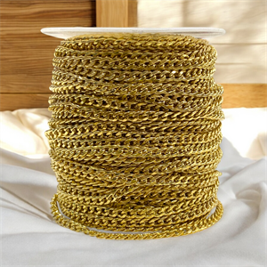 Kalın Basic Burgu Zincir