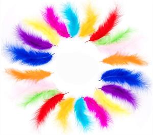 Kuş Tüy Modeller 10 ADET Paket