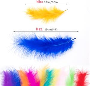 Kuş Tüy Modeller 10 ADET Paket