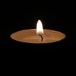 Tealight Mum - 50li Paket, Kokusuz