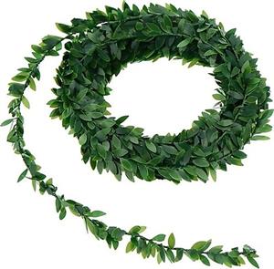 Yaprak Yeşil Tel Şerit Sarmaşık 7 Metre