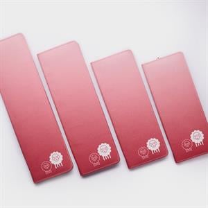 ZING Deluxe Örgü Şişi Seti (25CM) - 47426