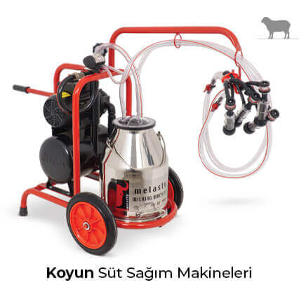 Koyun Süt Sağım Makineleri