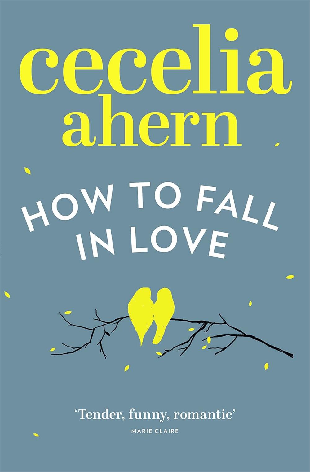 How to Fall in Love  -Cecelia Ahern