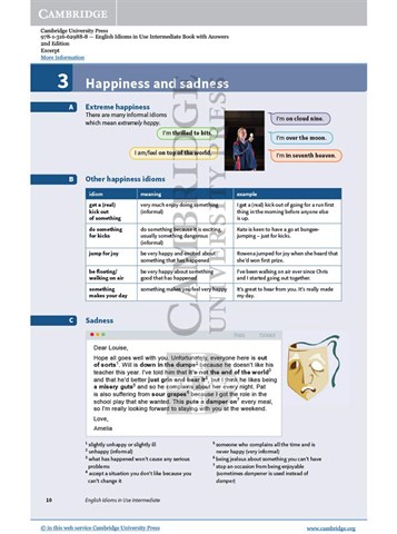 English Idioms in Use Intermediate Book with Answers 