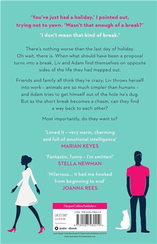 We Were On a Break  -Lindsey Kelk