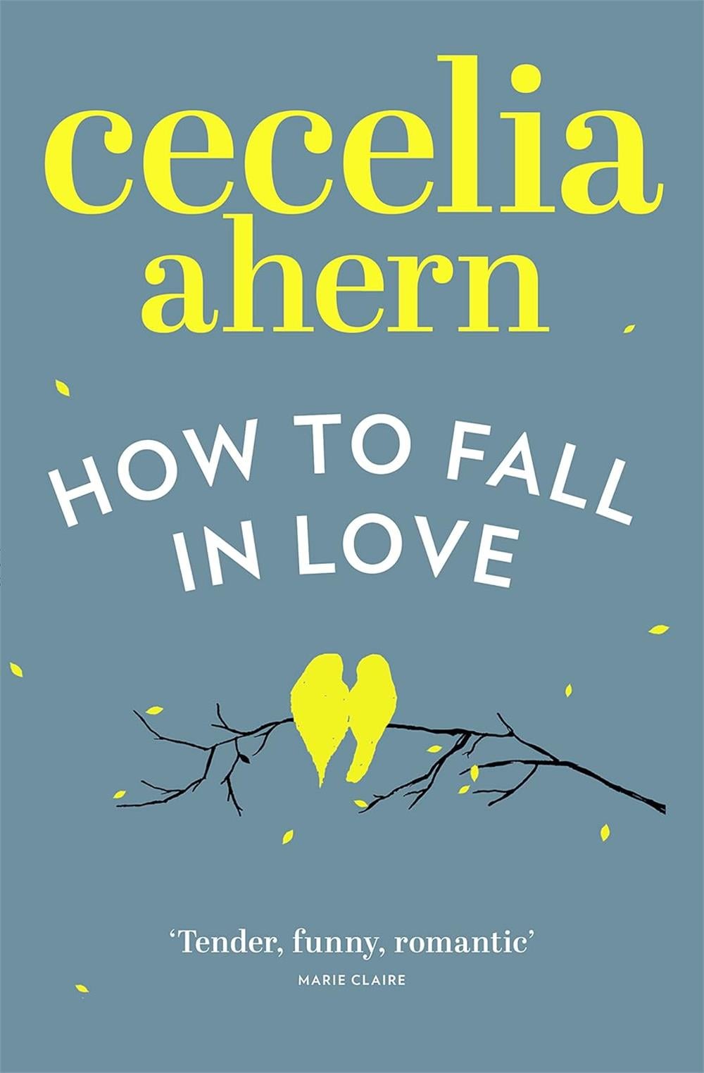 How to Fall in Love  -Cecelia Ahern