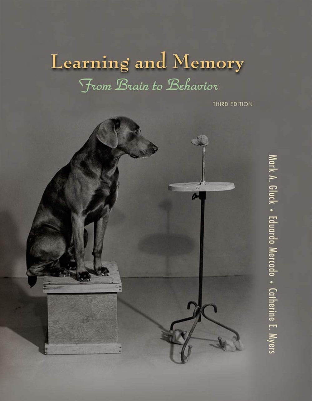 Learning and Memory: From Brain to Behavior 3rd Edition