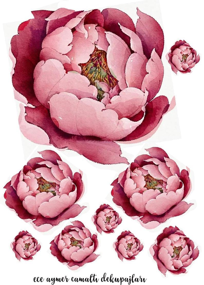 PEMBE PEONY CAM ALTI DEKUPAJ