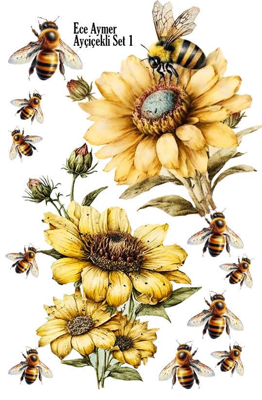 PROFESYONEL ÇIKARTMA KAĞIDI AYÇİÇEKLİ SET 1