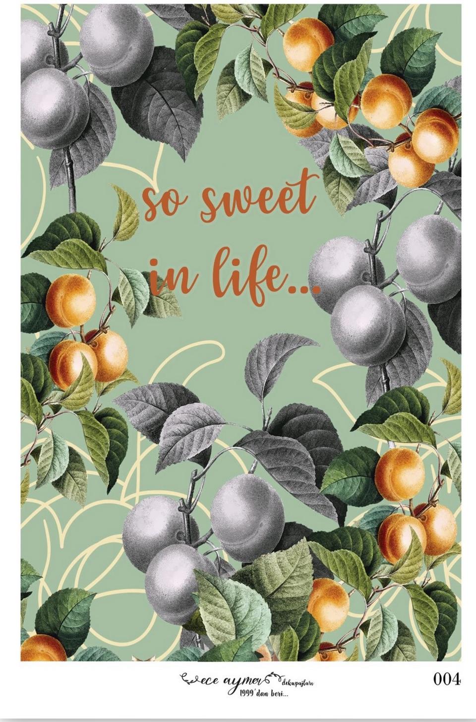 ECE AYMER PİRİNÇ KAĞITLARI 003