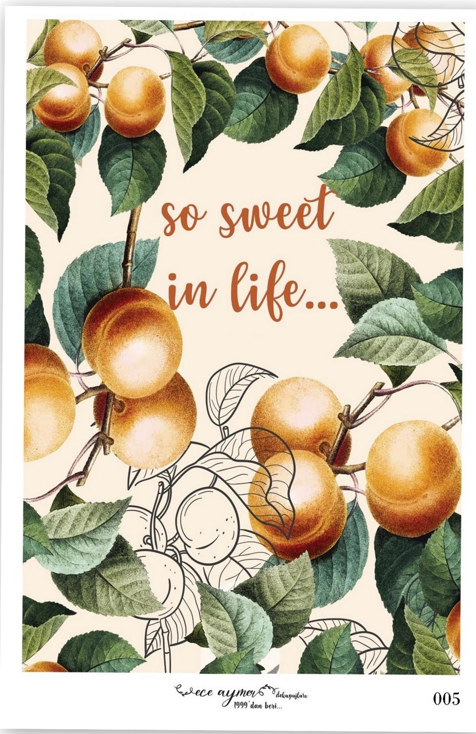 ECE AYMER PİRİNÇ KAĞITLARI 005