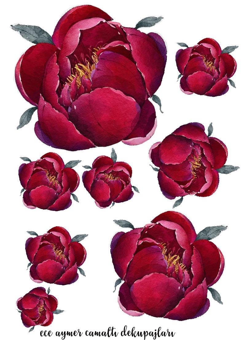 KIRMIZI PEONY CAM ALTI DEKUPAJ