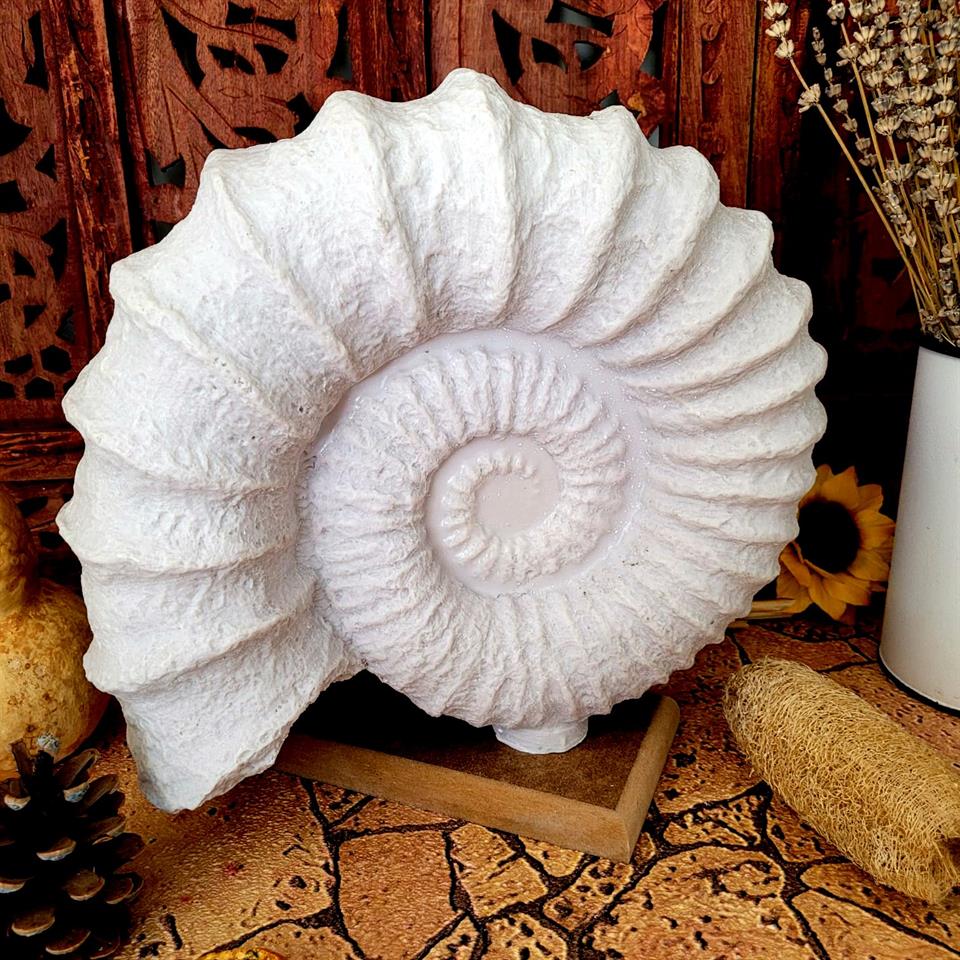 M 276 TABLALI SALYANGOZ