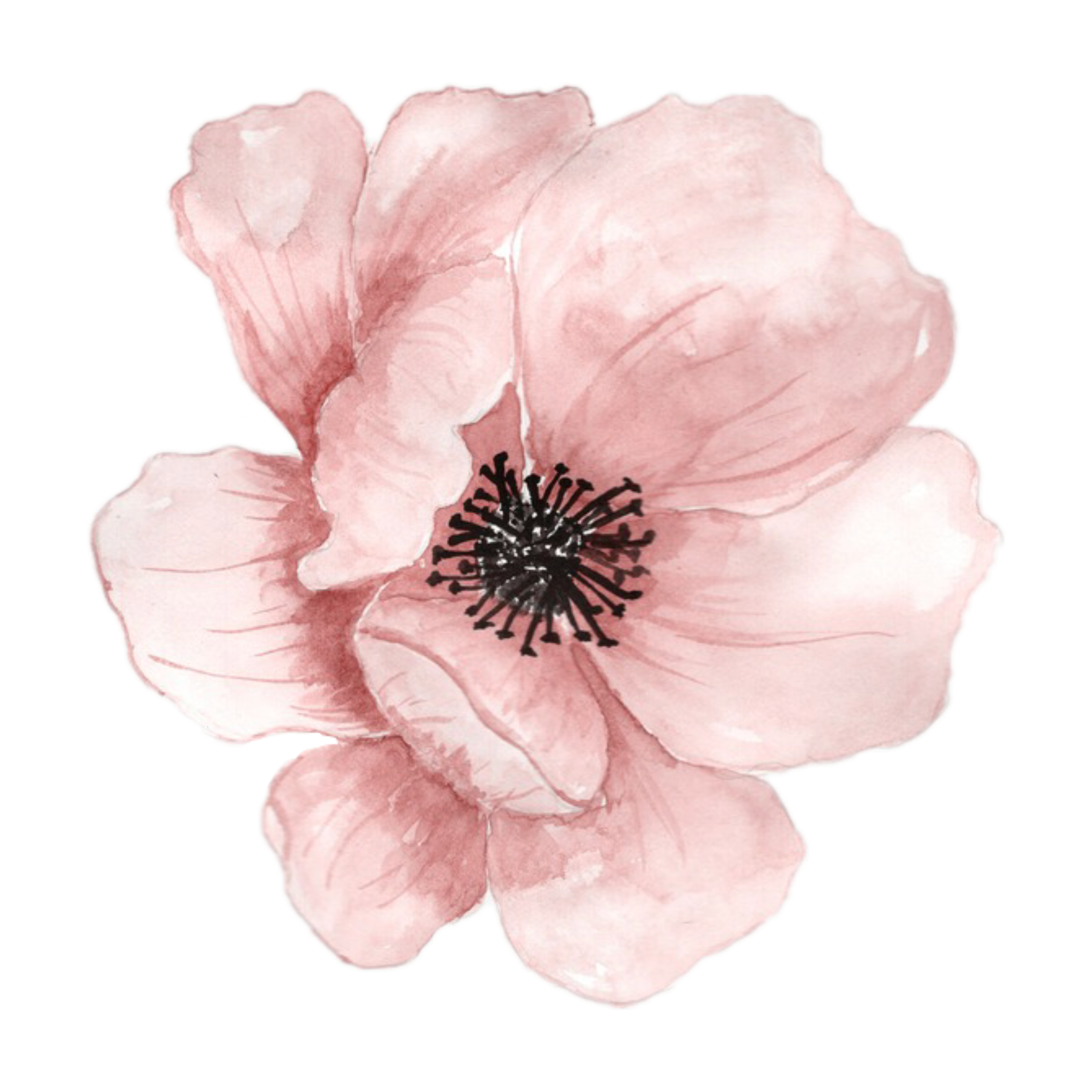 PEMBE GÜL DEKUPAJ KAĞIDI 069