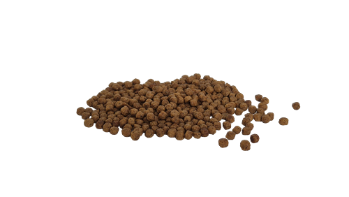 Bestpet Yavru Kediler İçin, Tavuk Etli Ve Pirinçli Kuru Mama 1 kg