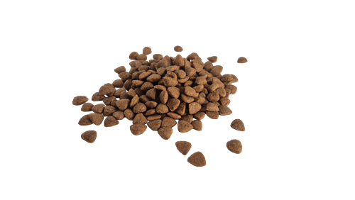 Prochoice Yetişkin Kediler İçin, Hipoalerjenik, Somon Balıklı Ve Pirinçli Kuru Mama 2 kg