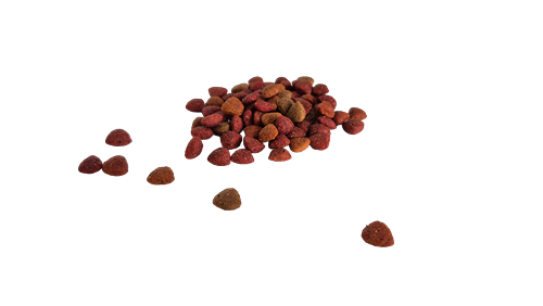 Bestpet Yetişkin Kediler İçin Mix Tavuk Etli, Kuzu Etli Ve Balıklı Kuru Mama 1 kg