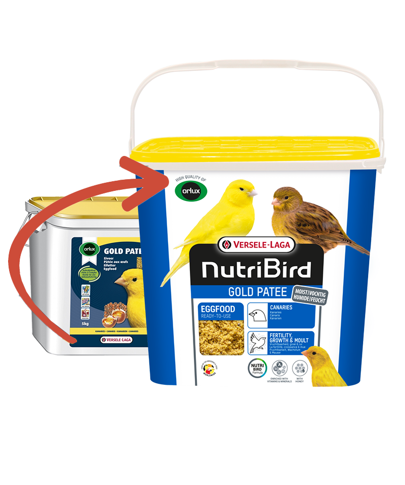 Versele Laga Nb Gold Patee Canarıes 5 Kg