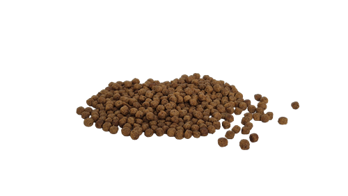 Bestpet Yavru Kediler İçin, Tavuk Etli Ve Pirinçli Kuru Mama 1 kg