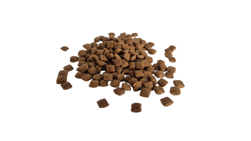 Bestpet Yetişkin Kediler İçin Tavuk Etli Kuru Mama 1 kg