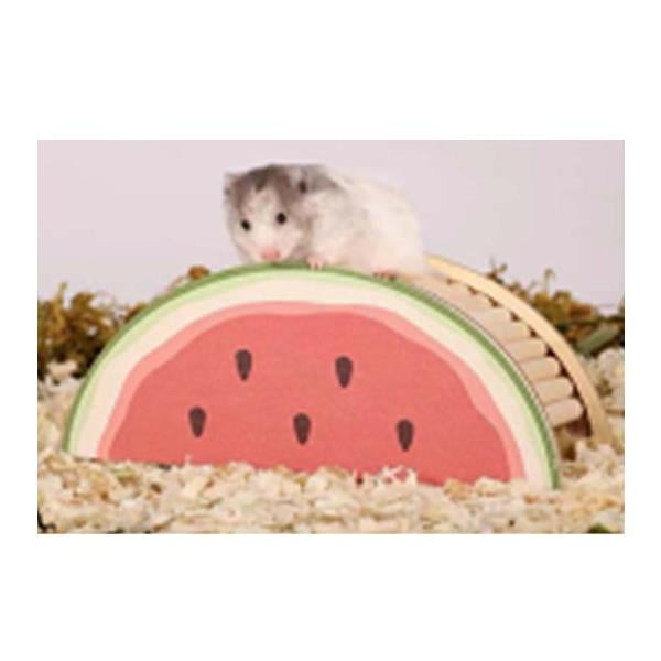 Pawise Ahşap Kemirgen Yuvası Karpuz