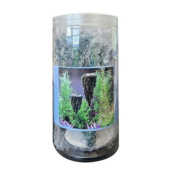 Avatar Kaya Yüzen Dekor M Boy 11 x 7 x 6 Cm