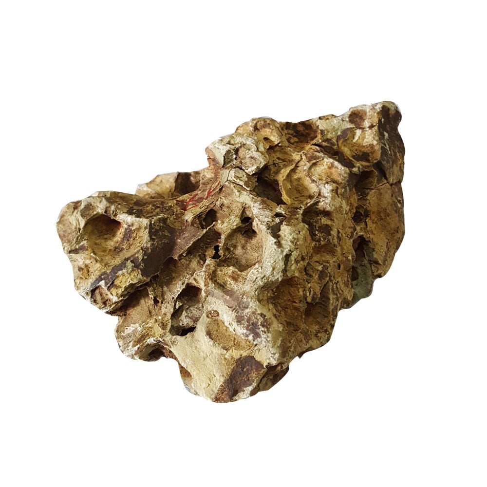 Dragon Stone Koli # Kilo