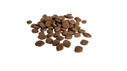 Bestpet Yetişkin Köpekler İçin, Balık Etli Ve Pirinçli Kuru Mama 15 kg