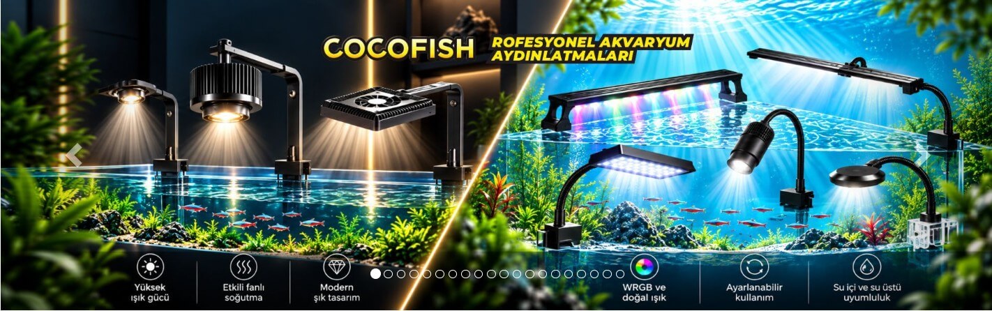 Akvaryum Aydınlatmaları