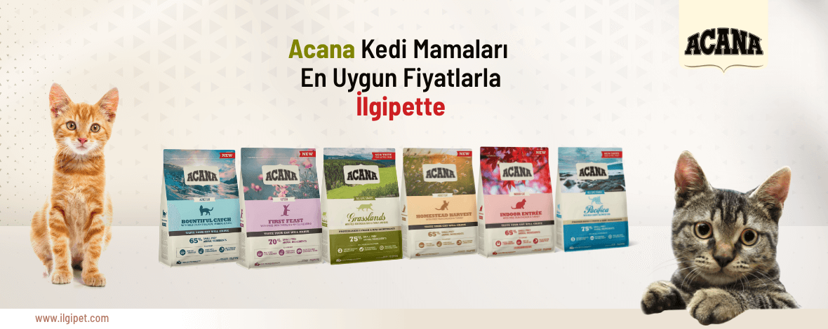 Acana Kedi Mamaları
