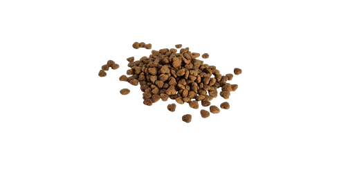 Bestpet Yetişkin Seçici Kediler İçin Tavuk Etli Kuru Mama 1 kg