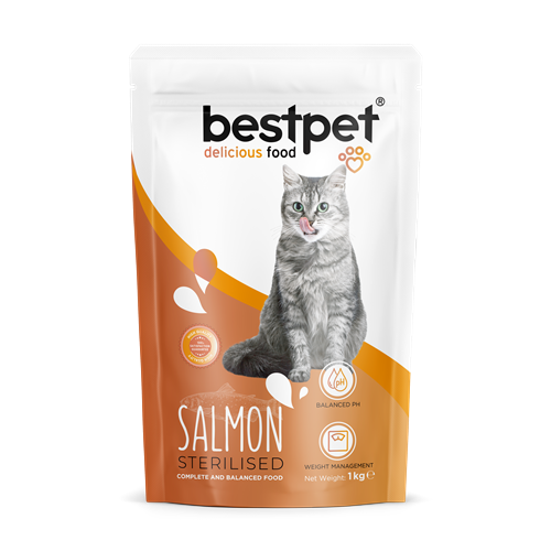 Bestpet Yetişkin Kısırlaştırılmış Kediler İçin Somonlu Kuru Mama 1 kg