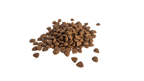 Prochoice Yetişkin Kediler İçin, Hipoalerjenik, Somon Balıklı Ve Pirinçli Kuru Mama 2 kg