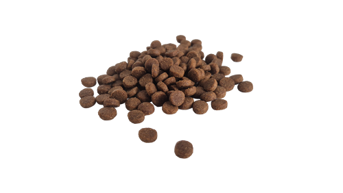 Prochoice Yetişkin Kediler İçin, Hipoalerjenik, Kuzu Etli Ve Pirinçli Kuru Mama 2 kg