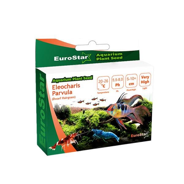 EuroStar Large Leaf Base Plant