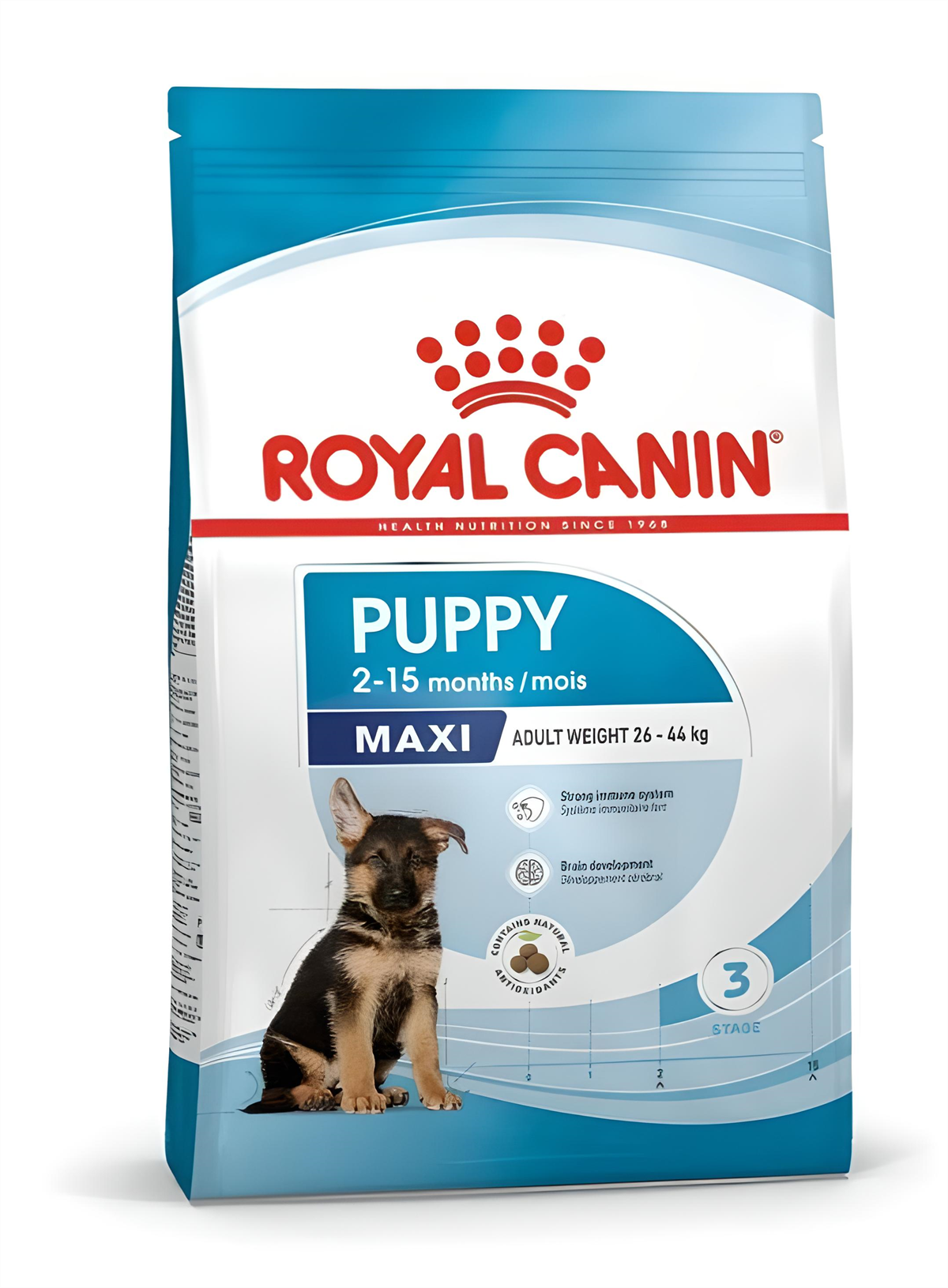 Royal Canin Maxi Junior Büyük Irk Yavru Kuru Köpek Maması 10 Kg