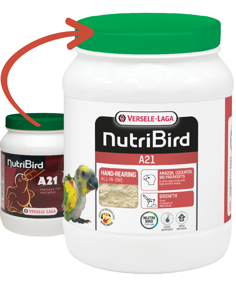 Versele Laga Nutrıbırd A21 Elle Yetiştirme Maması 800g