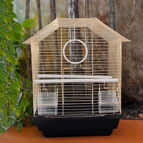 EuroGold Kafes Pirinç