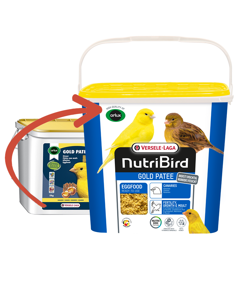 Versele Laga Nb Gold Patee Canarıes 5 Kg