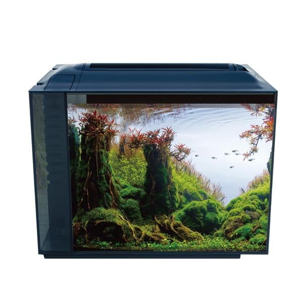 Anubias Botia 55 Nano Akvaryum Siyah 55,5 x 29,5 x 38 Cm