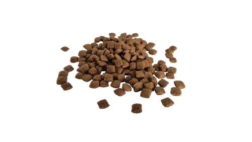Bestpet Yetişkin Kediler İçin Tavuk Etli Kuru Mama 1 kg