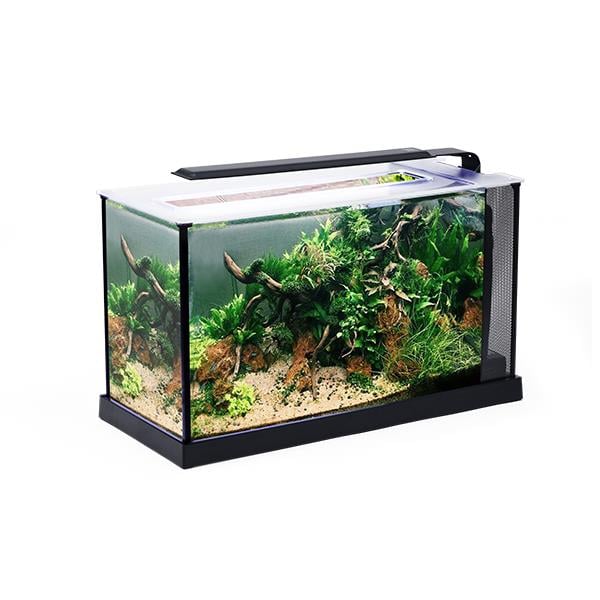 Anubias A368 Nano Akvaryum Set 52x19x30 cm