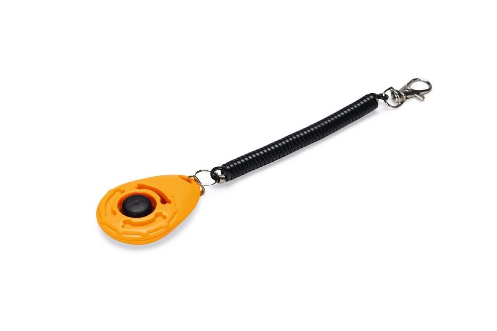 Beeztees Köpek Eğitim Klikırı, Karabina ve Bağlama Kordonlu, Turuncu, 6x4x1,7cm