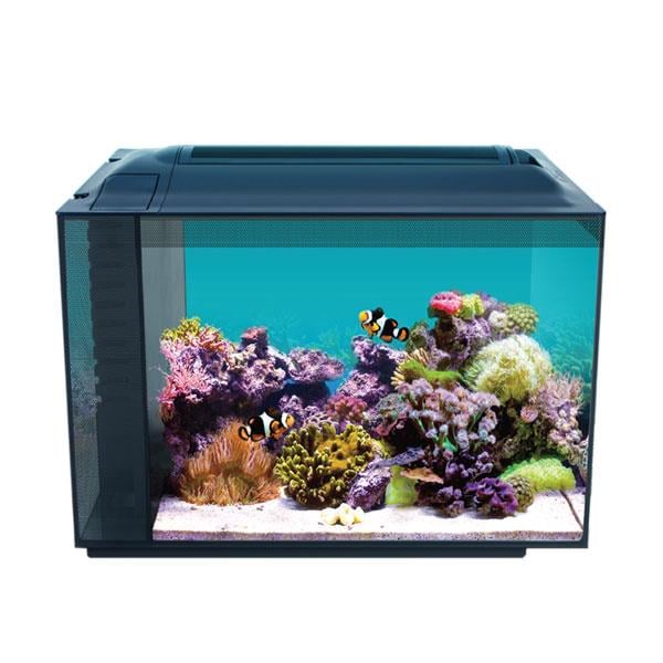 Anubias Evo-V8 55 Nano Marine Akvaryum Siyah 55,5 x 29,5 x 35 Cm