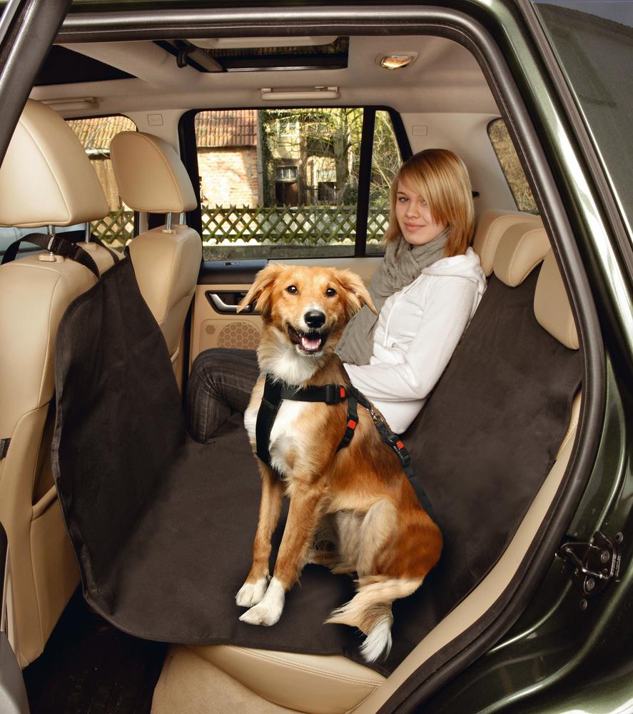 Beeztees Köpek Arka Koltuk Örtüsü, Su Geçirmez, Siyah, 160x129cm